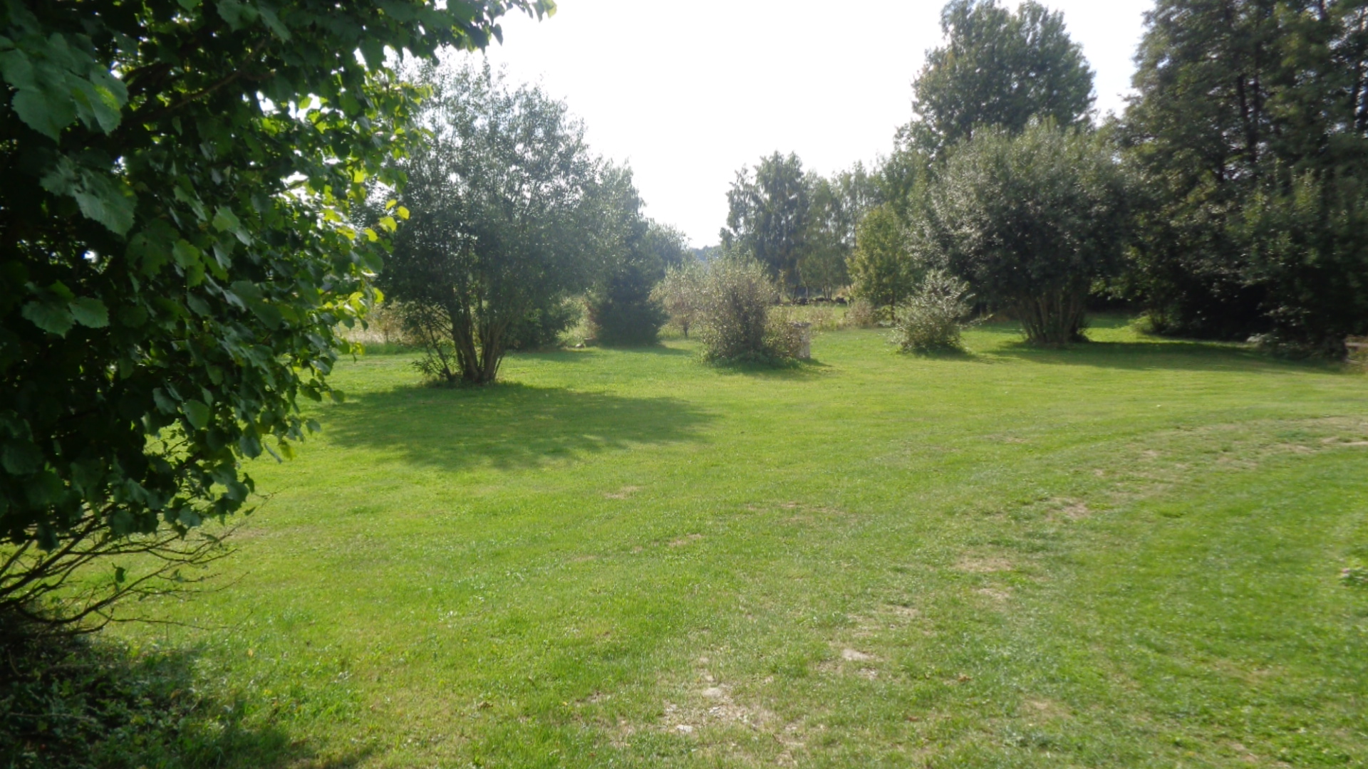 Kemp u Chadimova mlýna